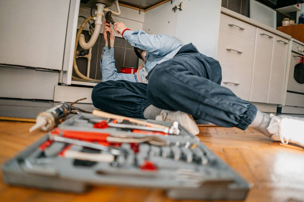 Best Plumbing Repair Near Me  in Pequot Lakes, MN
