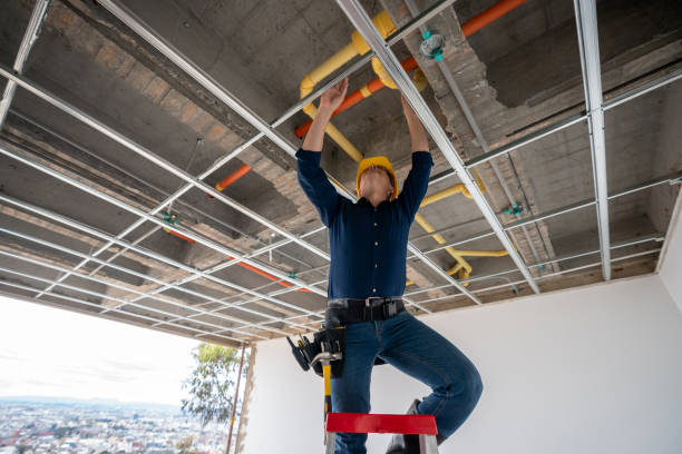 Best Emergency Plumbing Repair  in Pequot Lakes, MN