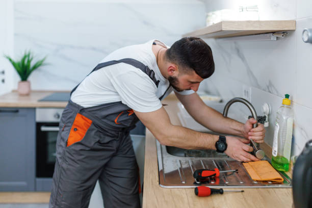 Best Local Plumber Services  in Pequot Lakes, MN